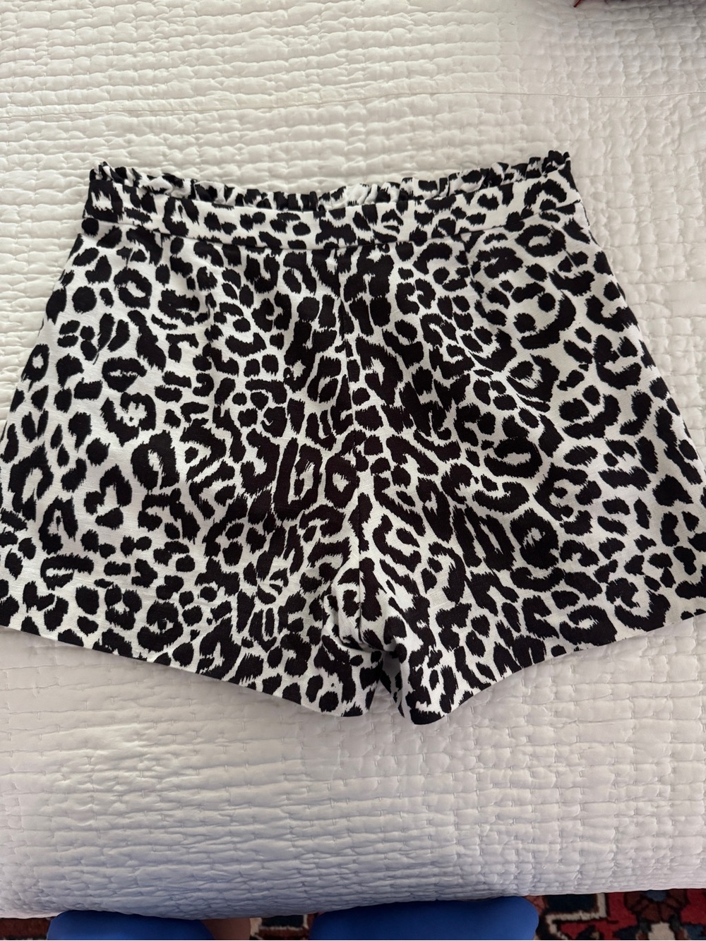 J. Crew animal print short